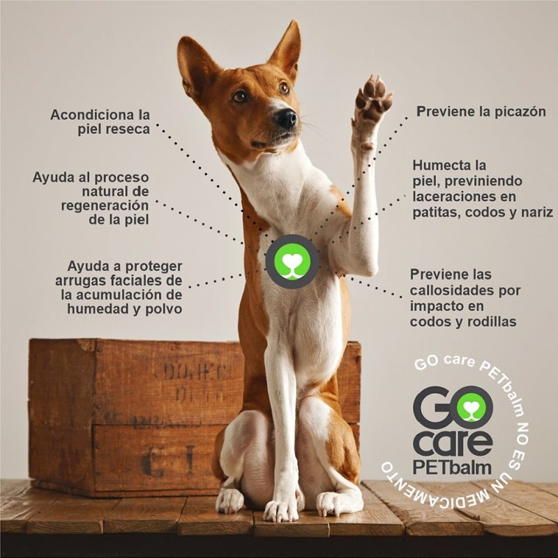 Balsamo PET balm stick GoCare