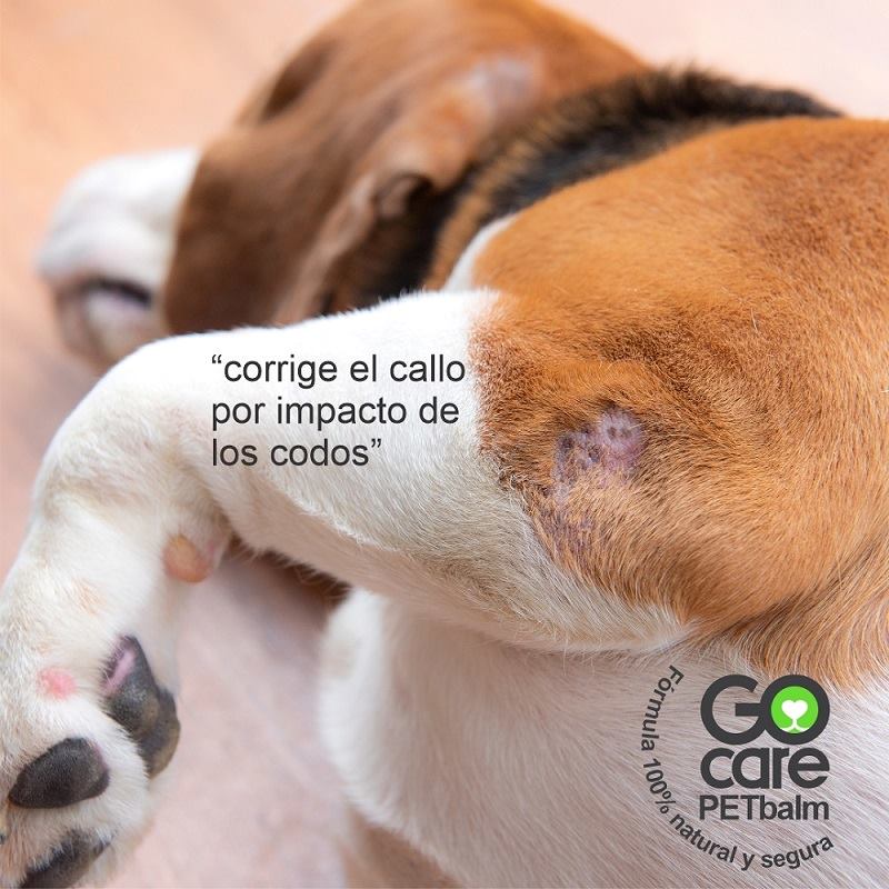 Balsamo PET balm stick GoCare