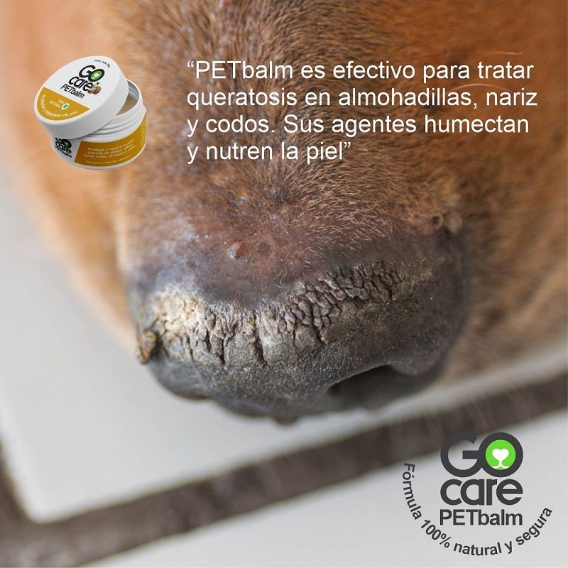 Balsamo PET balm stick GoCare