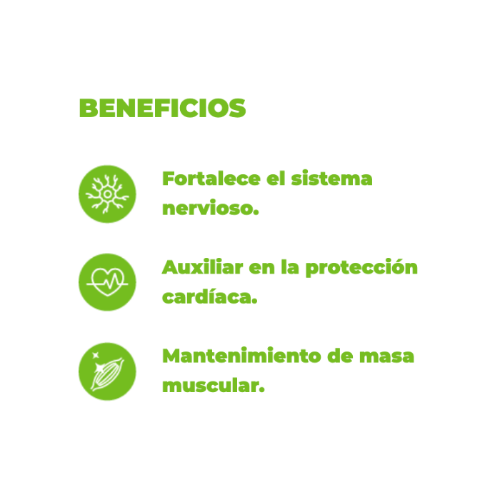 Alimento húmedo FELINO INDOOR Nupec 100 g