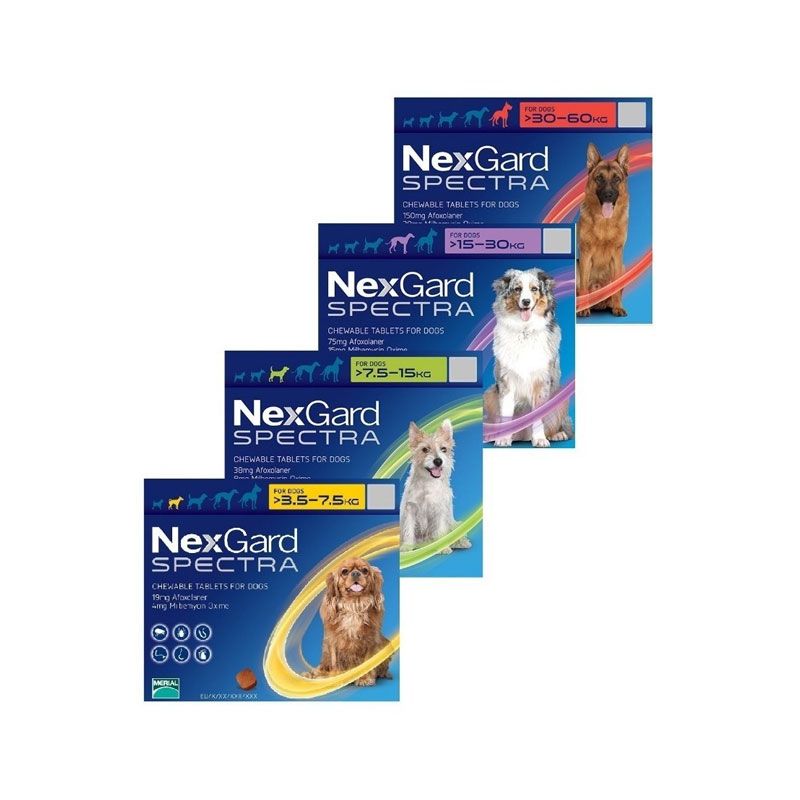 Nexgard Spectra desparasitante doble PERRO, caja 3 tab.