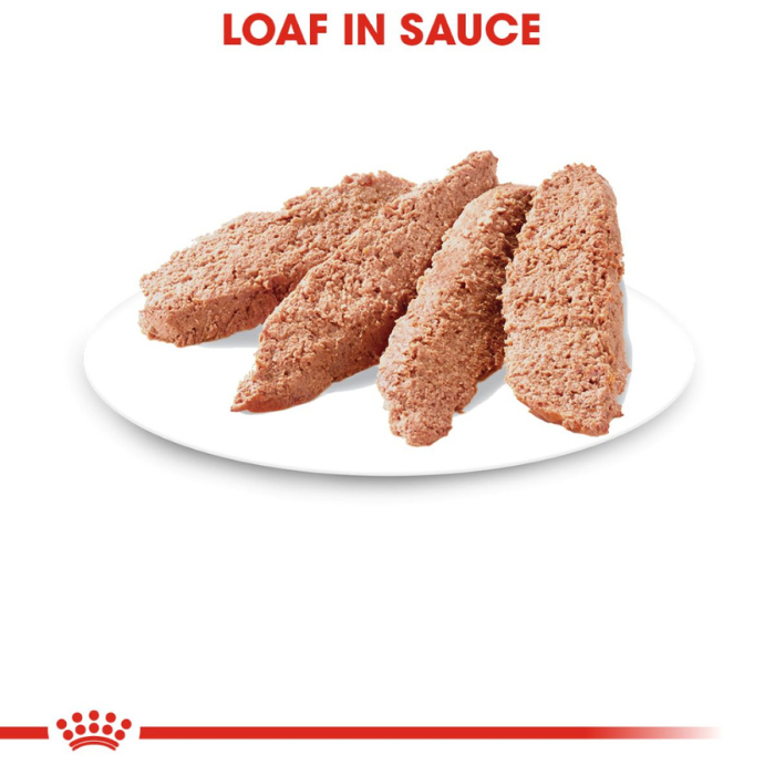 Alimento húmedo GATO Royal Canin Adult Instinctive Loaf in Sauce 145 g