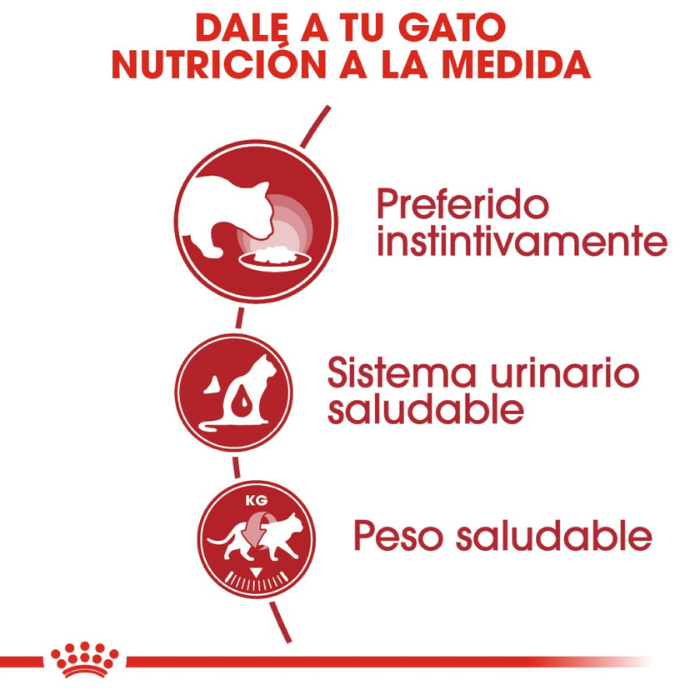 Alimento húmedo GATO Royal Canin Adult Instinctive Loaf in Sauce 145 g
