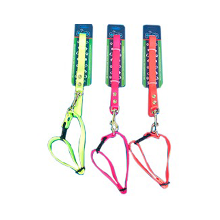 Juego correa-collar de nylon y herraje reforzado cinta 3/4"
