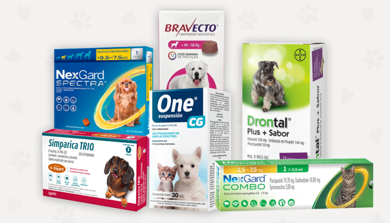 ¿Por qué es tan importante desparasitar a tu mascota?