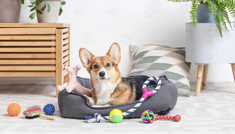 Los mejores juguetes de PetStop para que tu mascota no se aburra