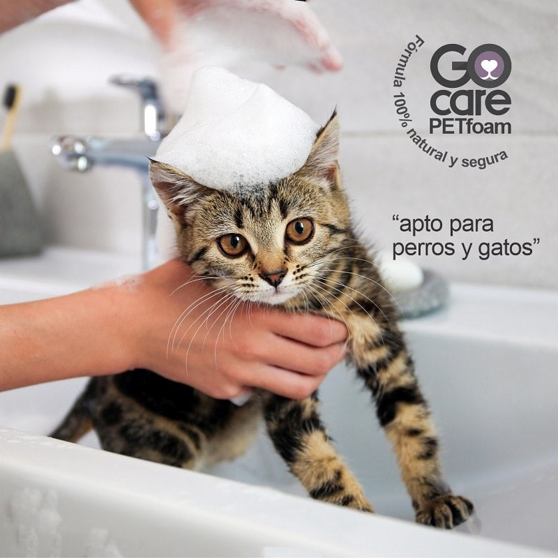 Pet foam discount
