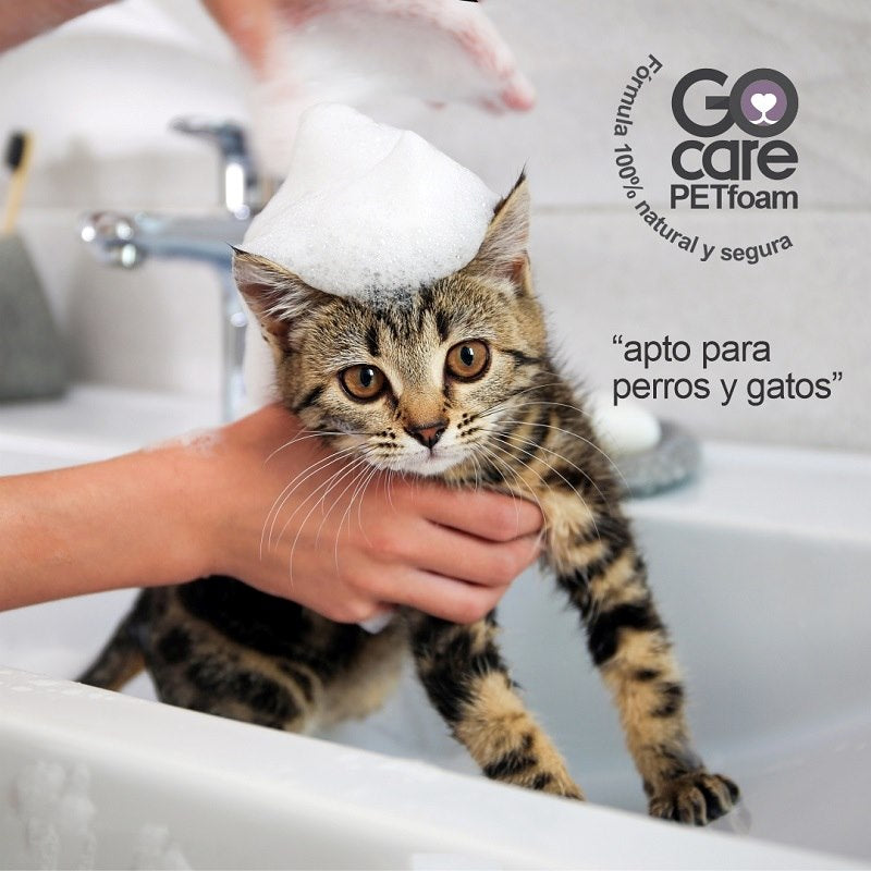 Shampoo Espuma Premium PET foam GoCare