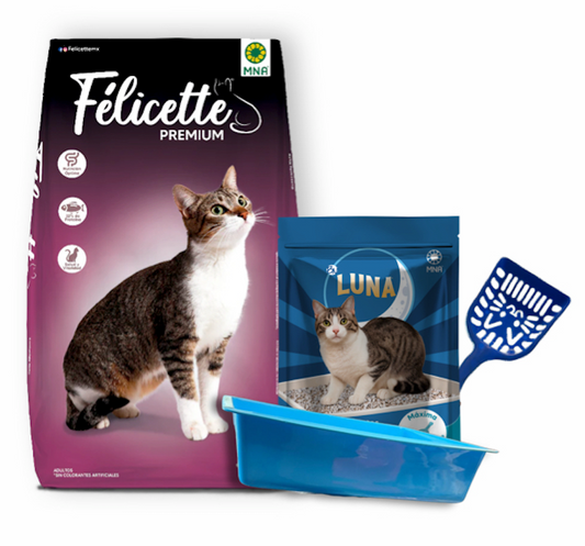 Félicette Premium 15 kg + Arena Luna 10 kg + Arenero y Pala