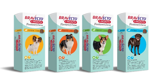 Bravecto desparasitante externo PERROS, tab. 1 mes