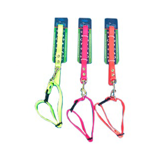Juego correa-collar de nylon y herraje reforzado cinta 3/4"