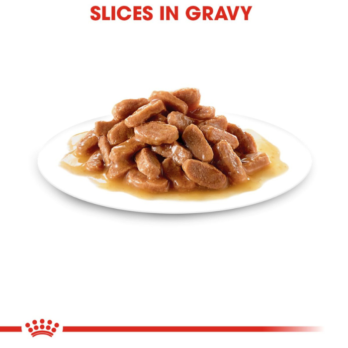 Alimento húmedo GATO Royal Canin Kitten Thin Slices in Gravy 85 g