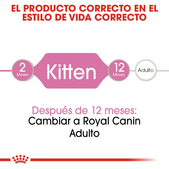 Alimento húmedo GATO Royal Canin Kitten Loaf in Sauce 145 g