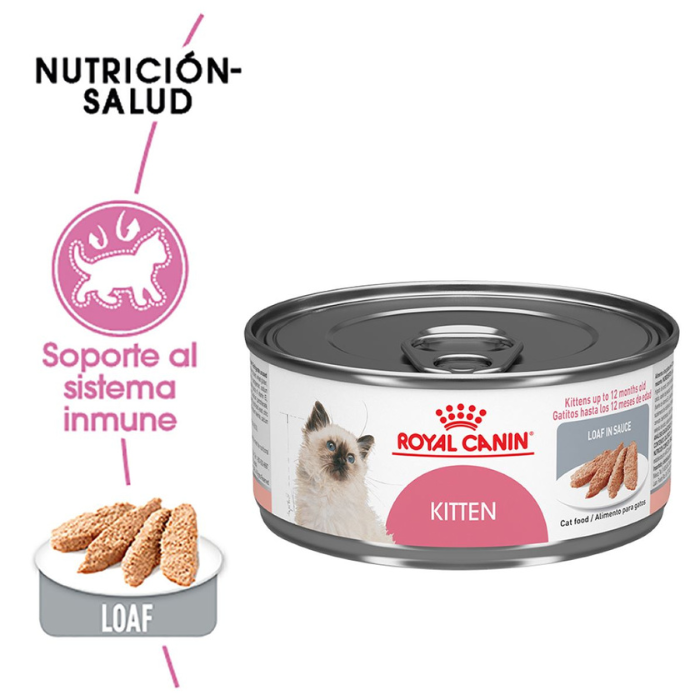 Alimento húmedo GATO Royal Canin Kitten Loaf in Sauce 145 g